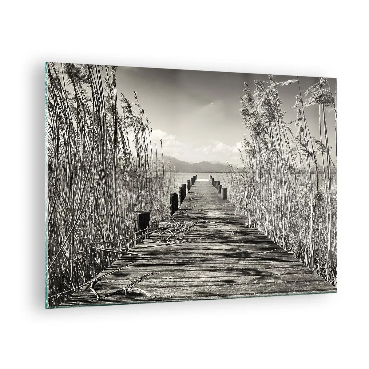 Tablou pe sticlă - Un pod de lemn trece prin iarbă peste un lac liniștit. - 70x50cm - În intimitatea ierburilor - Decorațiune modernă pentru perete pentru living și dormitor ARTTOR