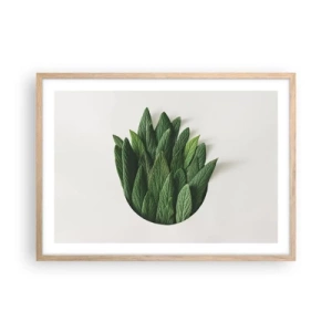 Poster în ramă de stejar deschis - Curiozitatea nestăvilită - 70x50 cm