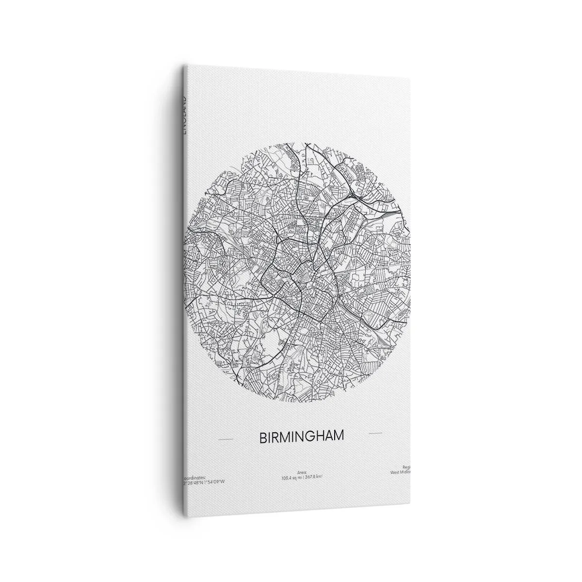 Tablou pe pânză - Anatomia Birmingham - 45x80 cm