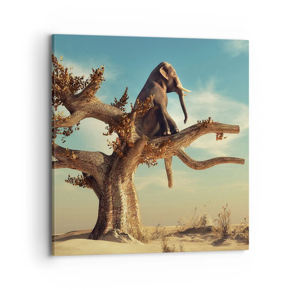 Tablou pe pânză - Un nou punct de vedere - 70x70 cm