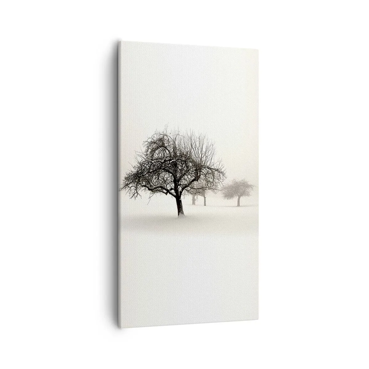 Tablou pe pânză - Hibernare - 55x100 cm