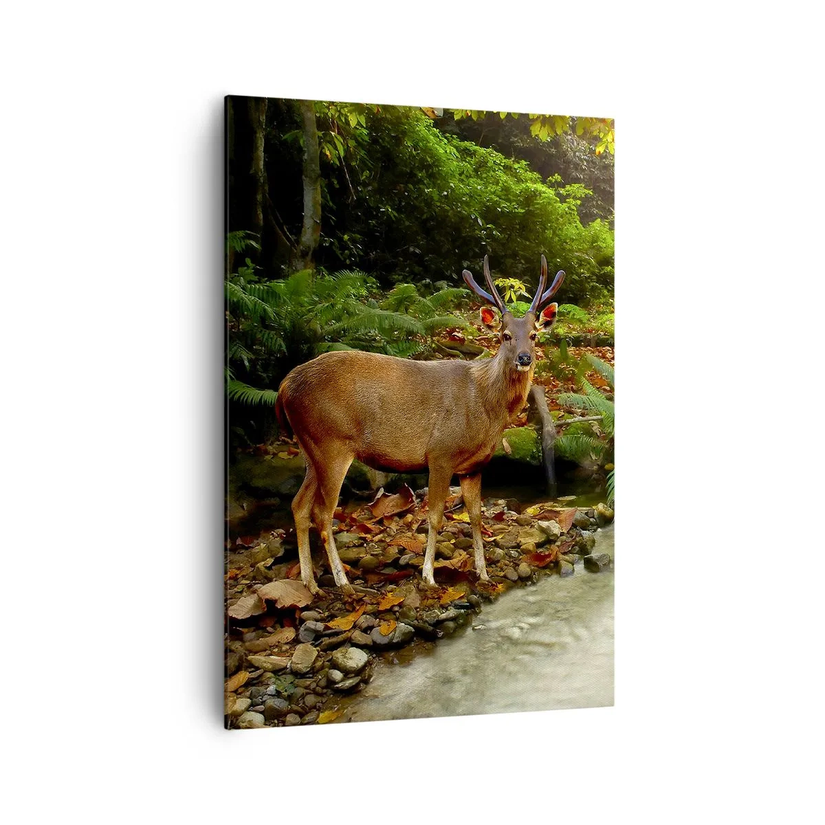 Tablou pe pânză - Bun venit în lumea mea - 70x100 cm