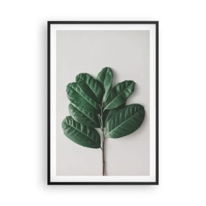 Poster în ramă neagră - Desenul naturii însăși - 61x91 cm