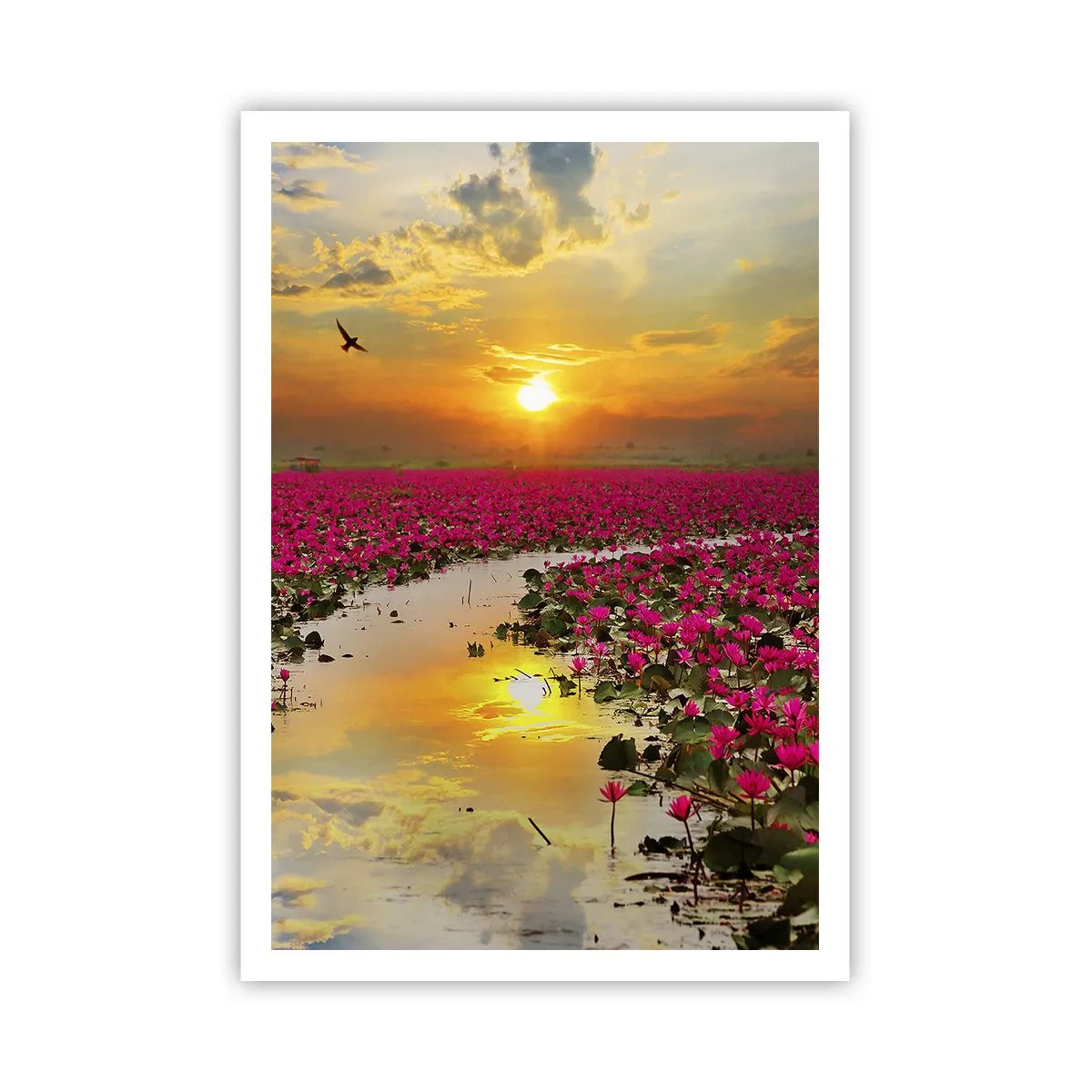 Poster - Viața secretă a lacului - 70x100 cm