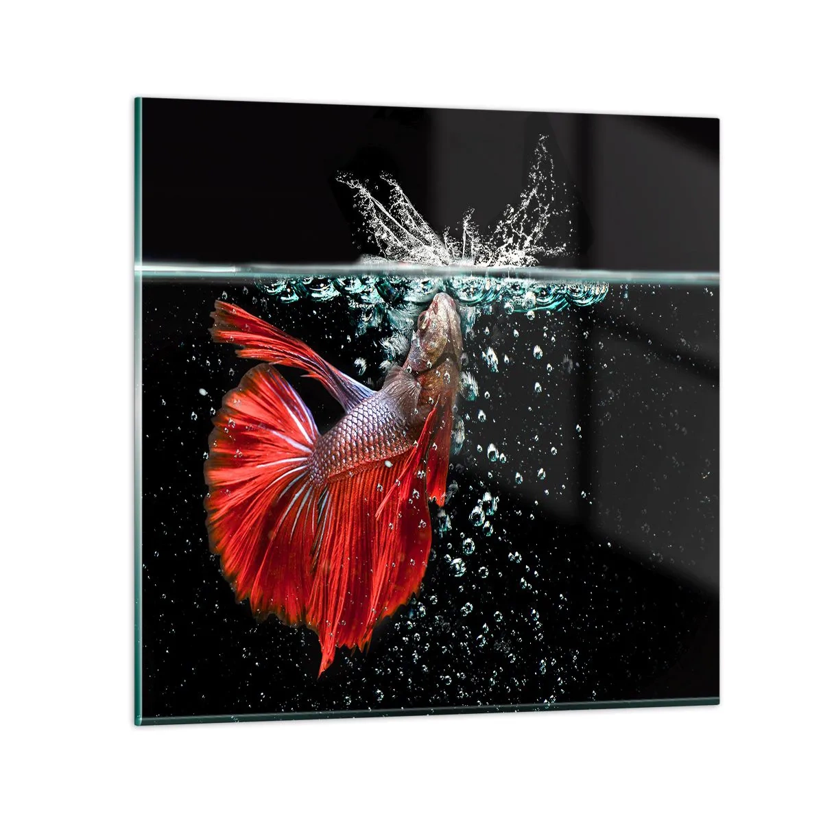 Tablou pe sticlă - Aveți trei dorințe - 70x70 cm