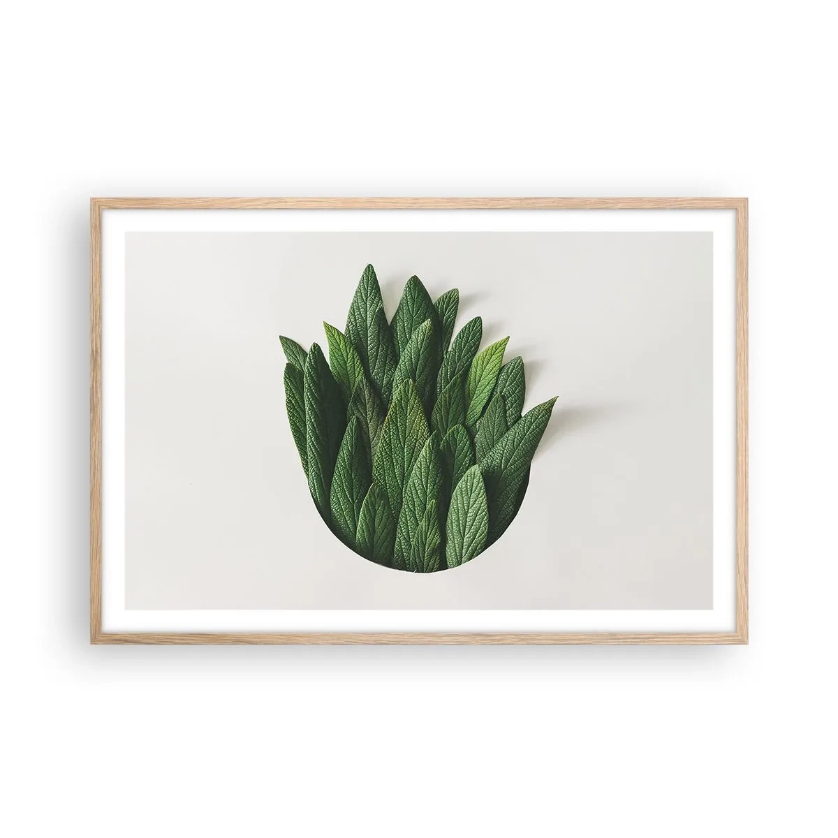 Poster în ramă de stejar deschis - Curiozitatea nestăvilită - 91x61 cm