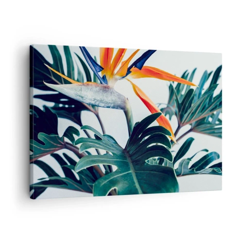 Tablou pe pânză Canvas - Floare Strelitzia înconjurată de frunze în lumină puternică - 70x50cm - Tufiș sau pasăre? - Decorațiune modernă pentru perete pentru living și dormitor ARTTOR