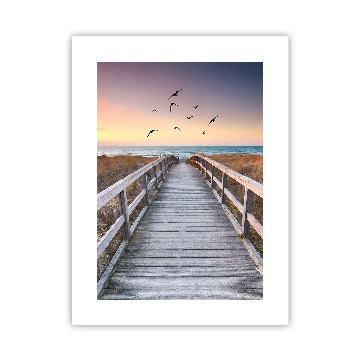 Poster - Spațiul pentru a zbura - 30x40 cm