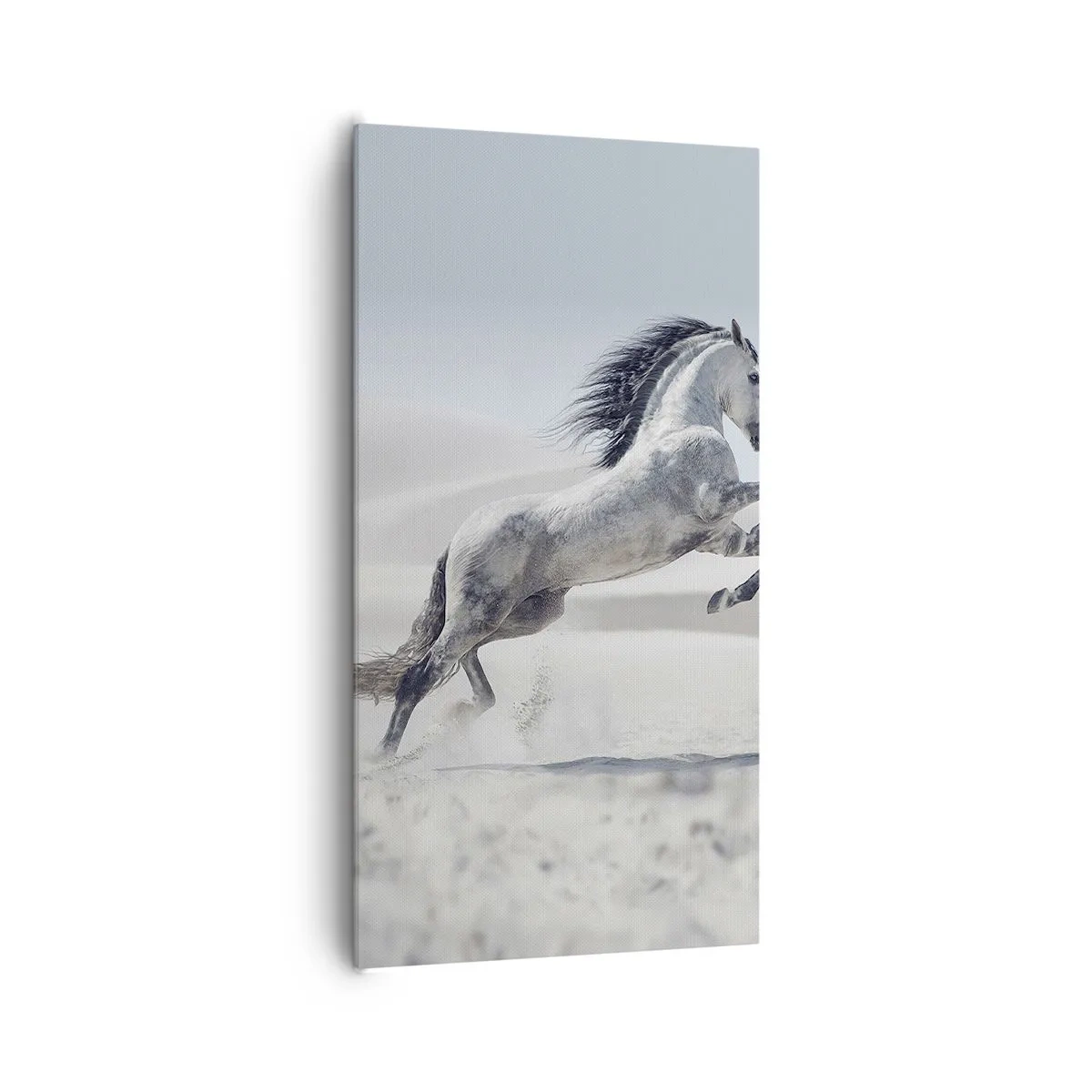 Tablou pe pânză - Prinț arab - 65x120 cm