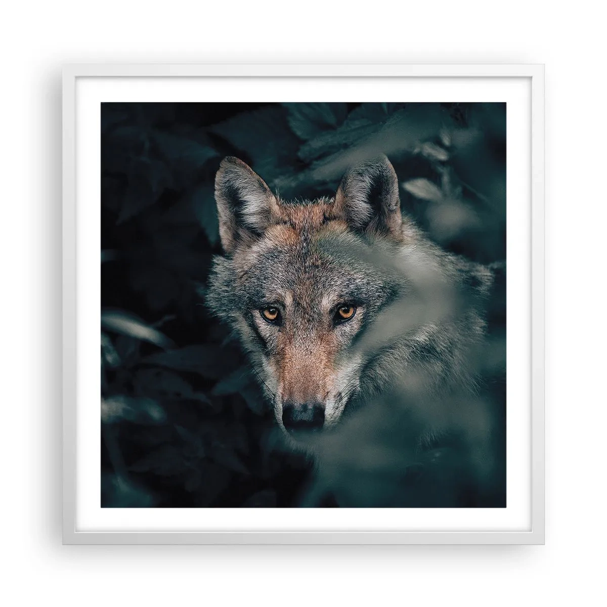 Poster în ramă albă - Vânător - 60x60 cm