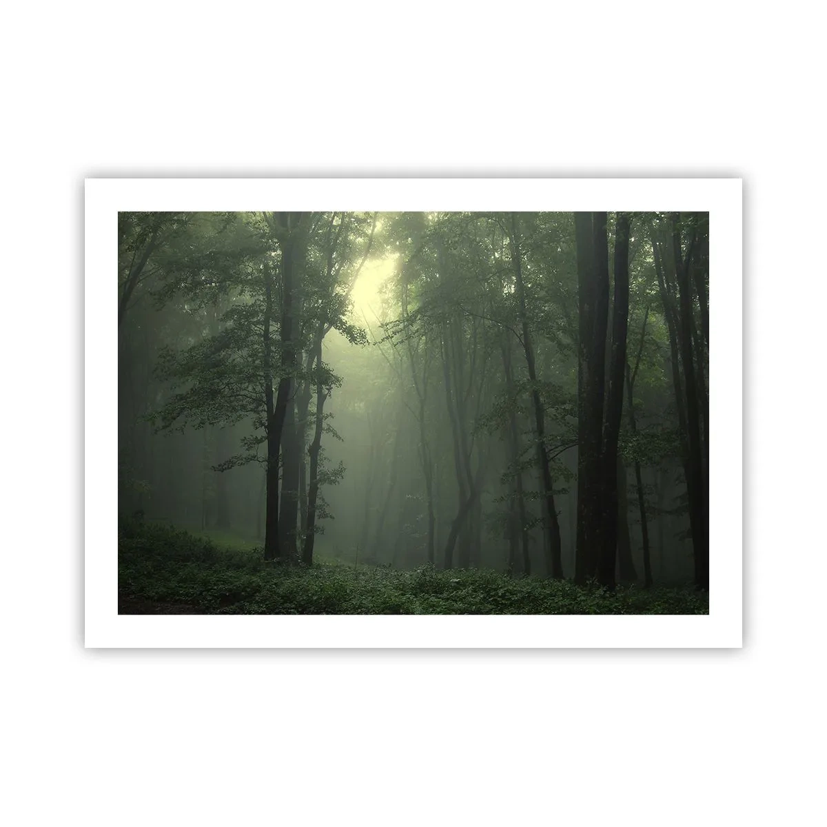 Poster - Înainte să se trezească - 70x50 cm