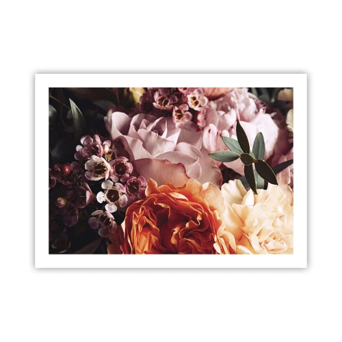 Poster - Înghesuite în frumusețe - 70x50 cm