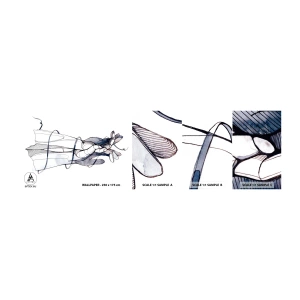 Mostră tapet autocolant Deluxe Sticker - Un studiu al atingerii - Abstracția, Mâinile, Grafică - 100x30 cm