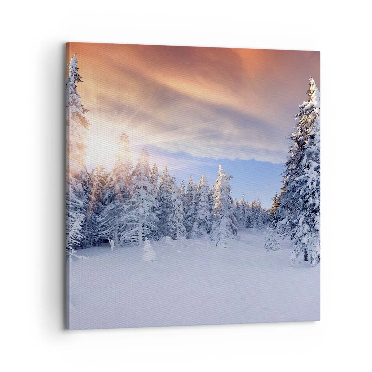 Tablou pe pânză - Spectacolul naturii înzăpezite - 60x60 cm