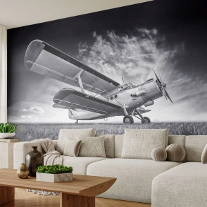 Tapet Premium Canvas - Rătăcitorul înaripat - Avion, Avioane, alb-negru - 250x175 cm