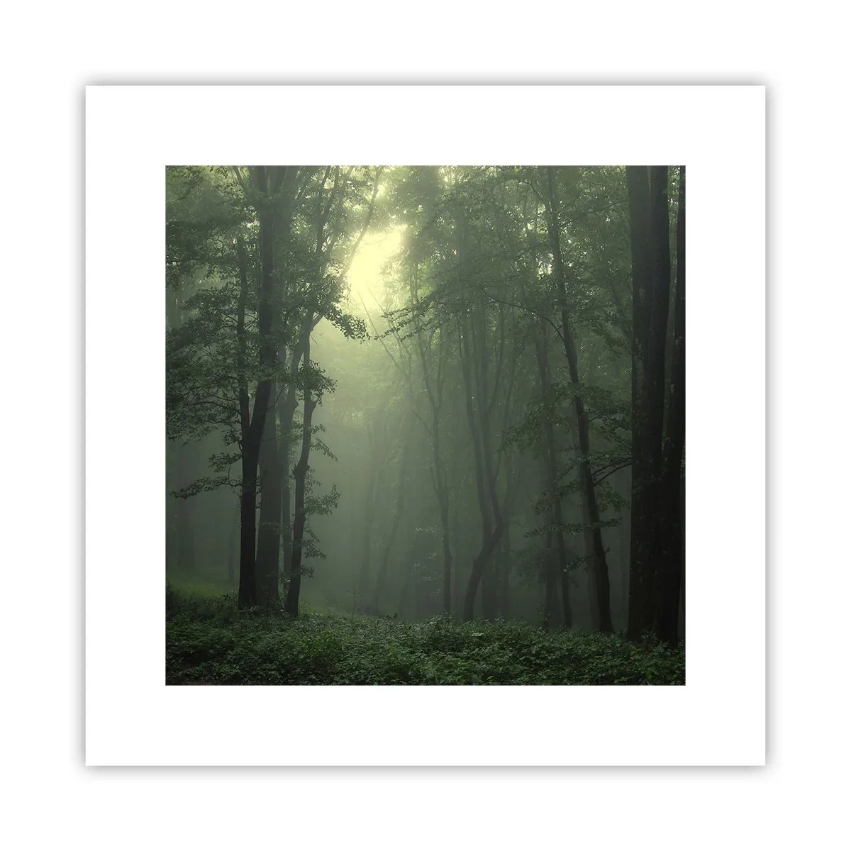 Poster - Înainte să se trezească - 30x30 cm