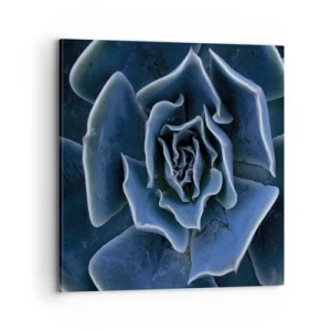 Tablou pe pânză - Floare de deșert - 70x70 cm