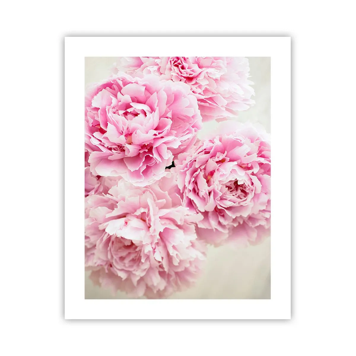 Poster - În luxul roz - 40x50 cm