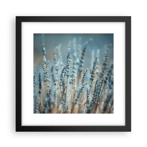 Poster în ramă neagră - Câmpul parfumat - 30x30 cm