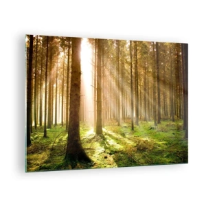 Tablou pe sticlă - Razele soarelui pătrund printre copacii din pădure - 70x50cm - Spiridușii sunt pe cale să apară - Decorațiune modernă pentru perete pentru living și dormitor ARTTOR