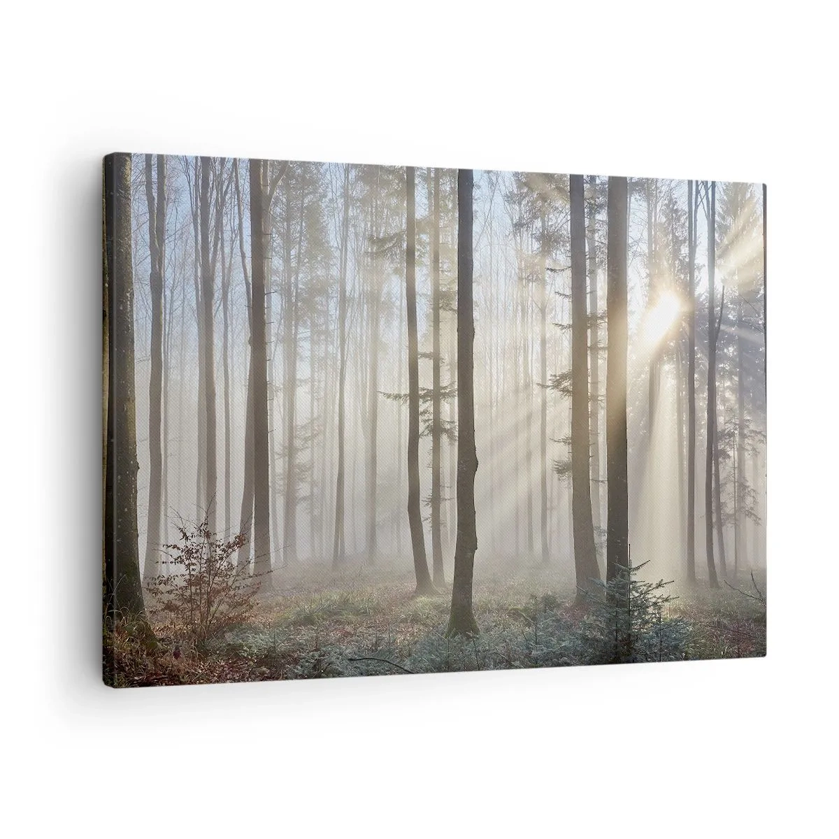Tablou pe pânză Canvas - O pădure într-o ceață ușoară, cu raze de soare care strălucesc printre copaci - 70x50cm - Ceața s-a trezit și ea - Decorațiune modernă pentru perete pentru living și dormitor ARTTOR