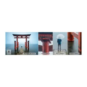 Mostră tapet Premium Canvas - Reverie japoneză - Asia, Templul Hakone, Japonia - 100x30 cm