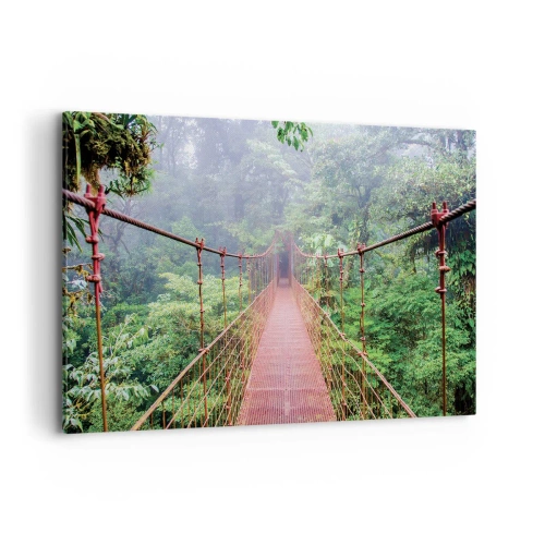 Tablou pe pânză - Suspendat deasupra coroanelor arborilor - 120x80 cm