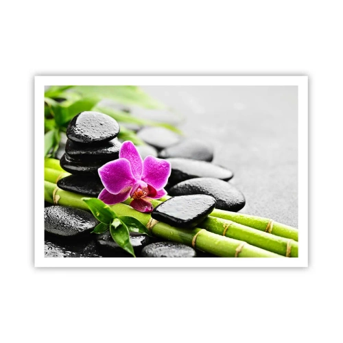 Poster - Într-un echilibru pașnic - 100x70 cm