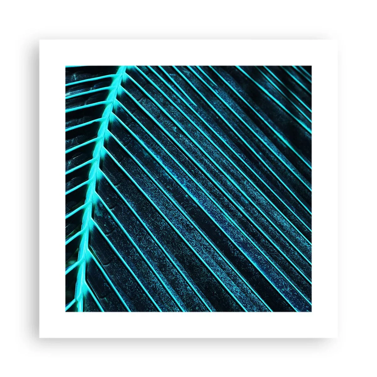 Poster - Textura verdelui - 40x40 cm