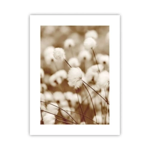 Poster - Câmp pufos - 30x40 cm