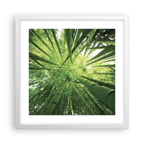 Poster în ramă albă - Într-o pădure de bambus - 40x40 cm