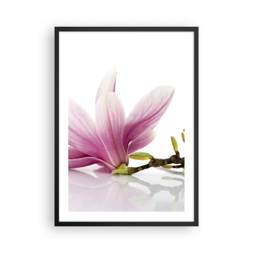 Poster în ramă neagră - Floare de magnolie roz pe o ramură cu fundal alb - 50x70cm - Delicate ca o adiere de primăvară - Decorațiune modernă pentru perete pentru living și dormitor ARTTOR