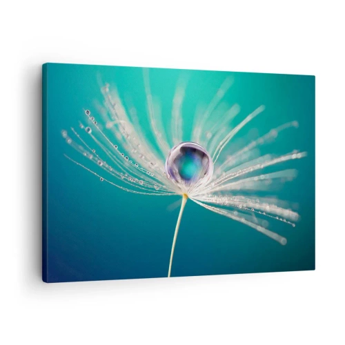 Tablou pe pânză Canvas - Macro a unei picături de apă pe o sămânță delicată de păpădie - 70x50cm - Moment mistic - Decorațiune modernă pentru perete pentru living și dormitor ARTTOR