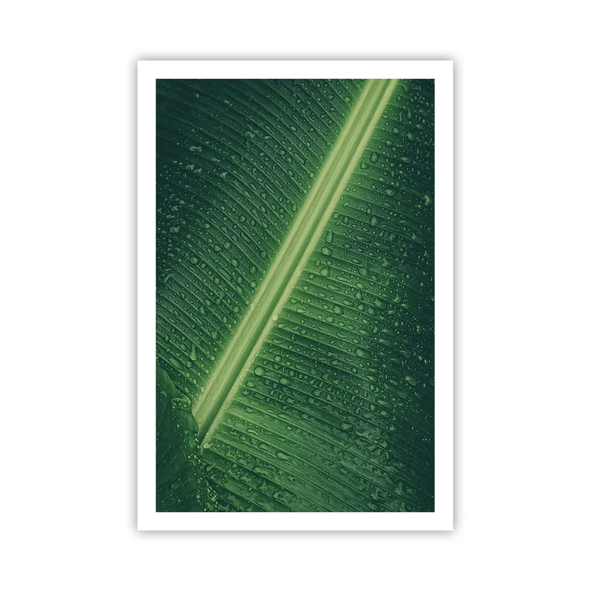 Poster - Structura verdelui - 61x91 cm