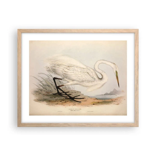Poster în ramă de stejar deschis - Doamna în stufărișuri - 50x40 cm