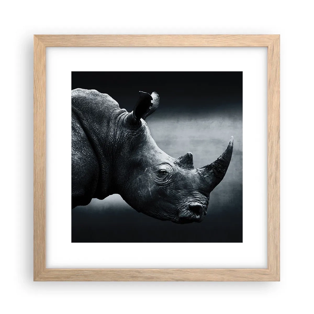 Poster în ramă de stejar deschis - Profil drept - 30x30 cm