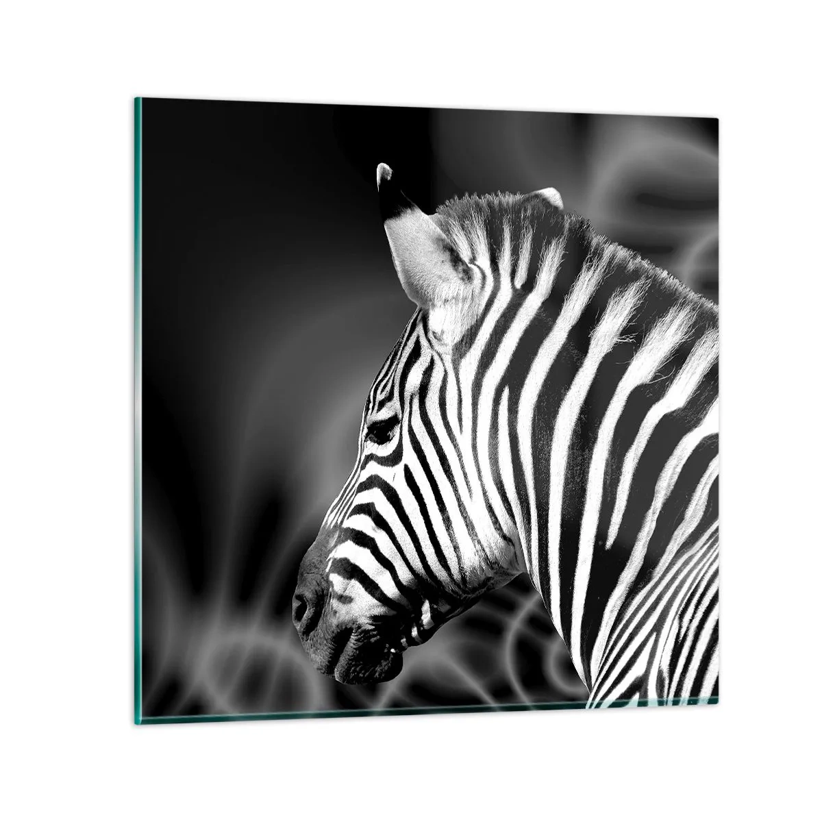 Tablou pe sticlă - Albul e alb și negrul e negru - 40x40 cm