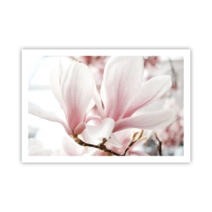 Poster - Imensitatea sensibilității - 91x61 cm