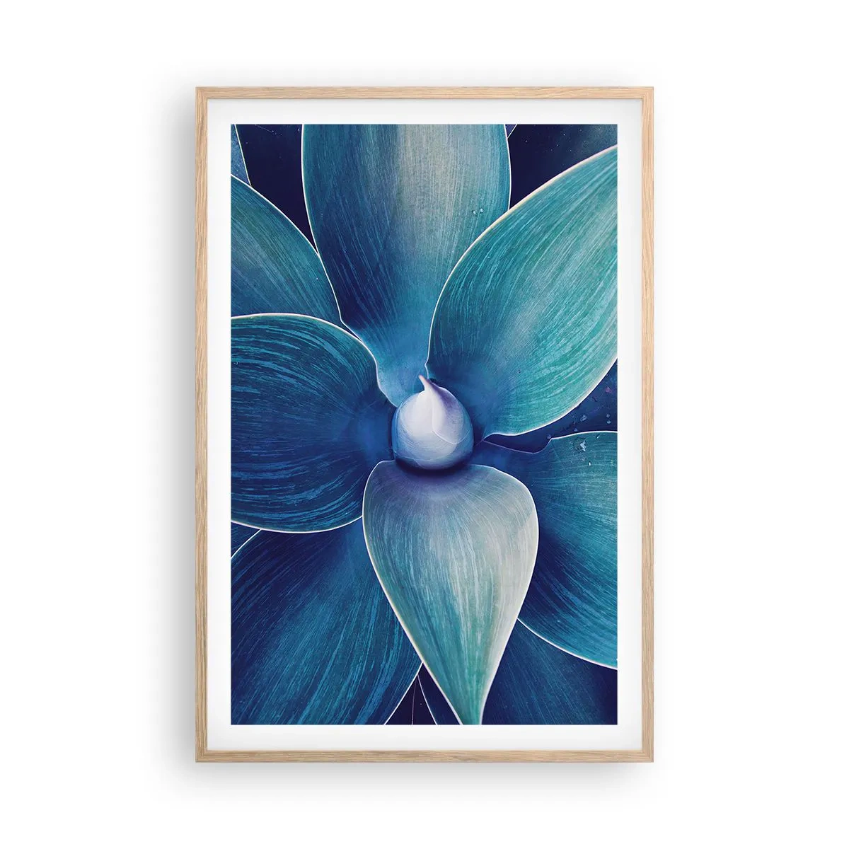 Poster în ramă de stejar deschis - A furat albastrul de la cer - 61x91 cm