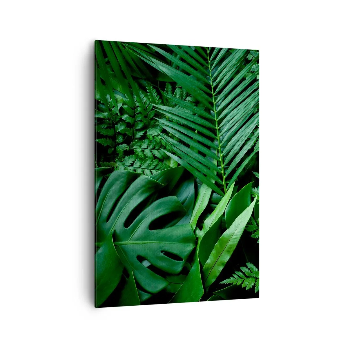 Tablou pe pânză - Înfășurate în verde - 70x100 cm