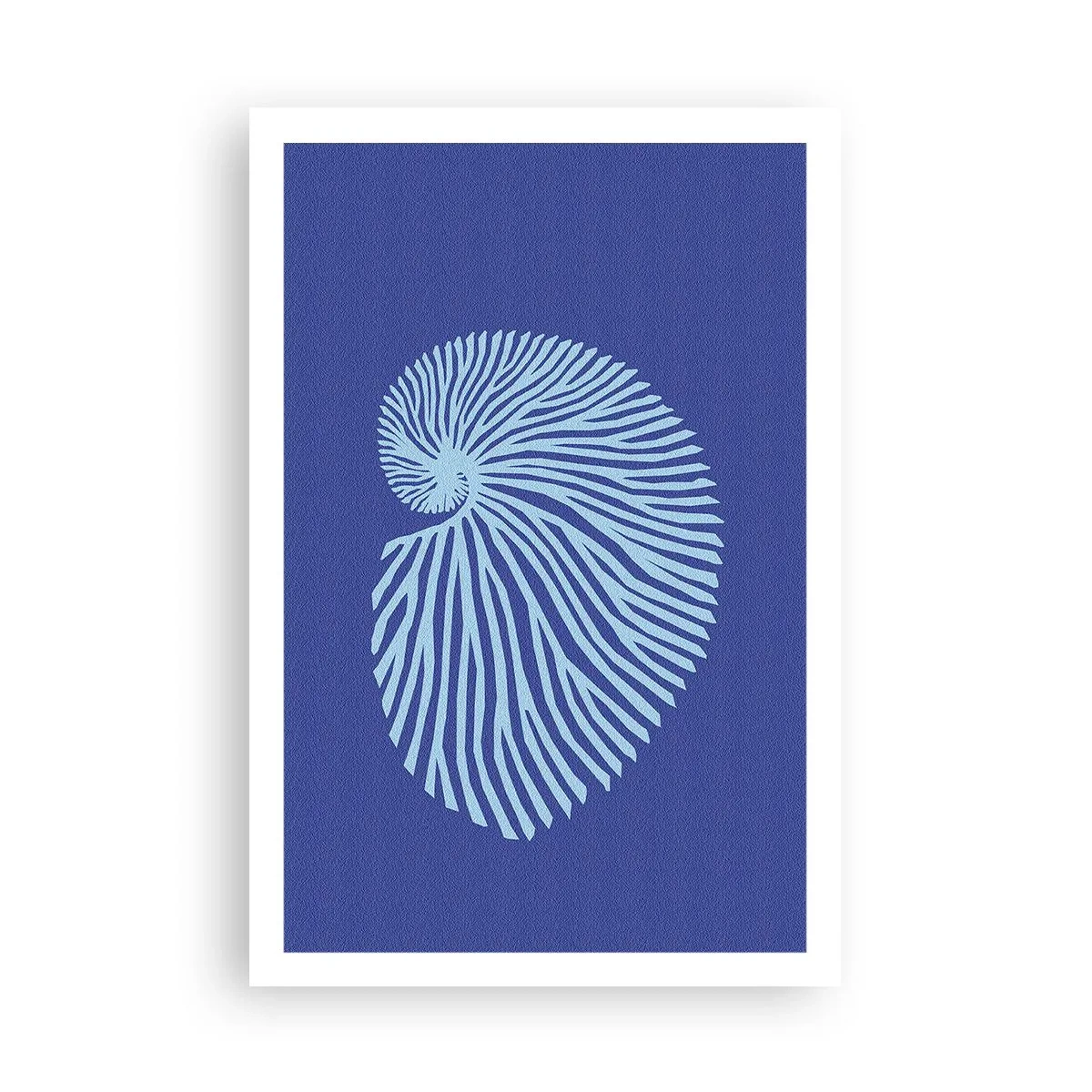 Poster - Nașterea cochiliei - 61x91 cm