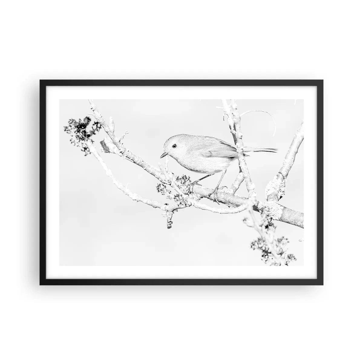 Poster în ramă neagră - Dimineață de iarnă - 70x50 cm