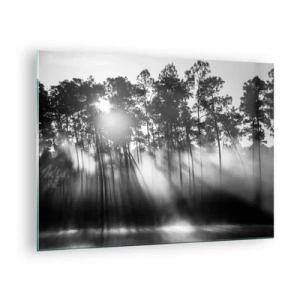 Tablou pe sticlă - Copaci alb-negru într-o pădure cu raze de soare în ceață - 70x50cm - Soare de neoprit - Decorațiune modernă pentru perete pentru living și dormitor ARTTOR