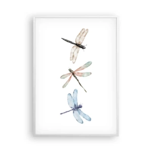 Poster în ramă albă - Libelule imponderabile - 70x100 cm