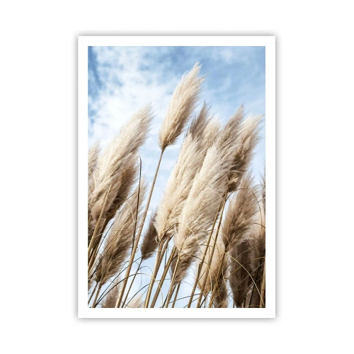 Poster - Mângâiere însorită și vântoasă - 70x100 cm