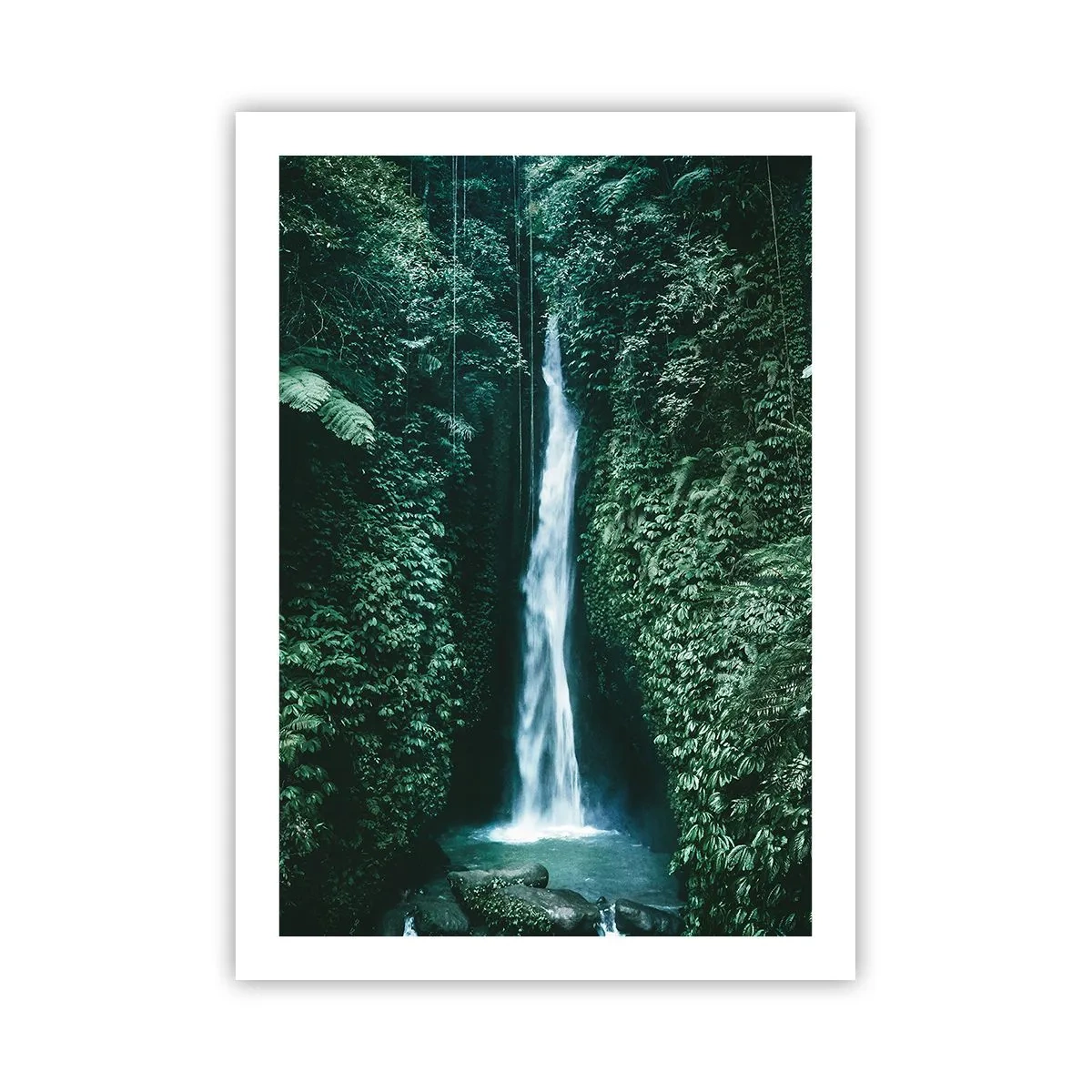 Poster - Băi tropicale - 50x70 cm