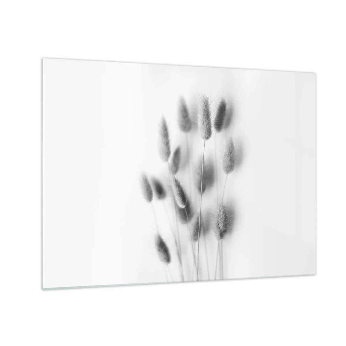 Tablou pe sticlă - Urechi de iarbă alb-negru pe un fundal deschis, într-un stil minimalist - 70x50cm - Pufoșenia ierbii - Decorațiune modernă pentru perete pentru living și dormitor ARTTOR