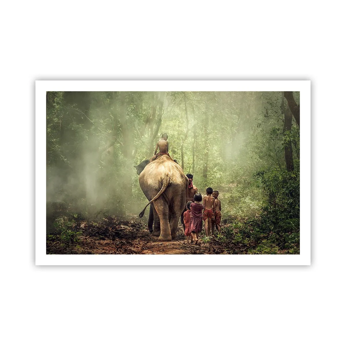 Poster - Noua Carte a Junglei - 91x61 cm