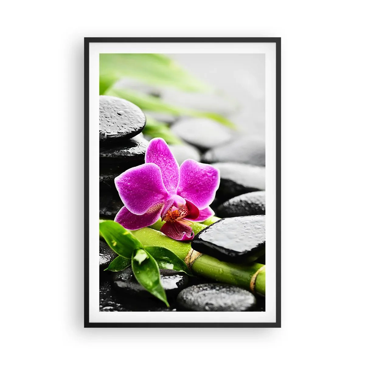 Poster în ramă neagră - Într-un echilibru pașnic - 61x91 cm