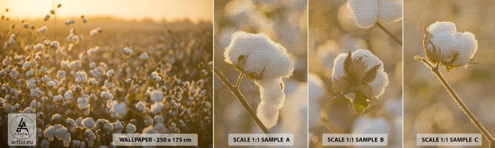 Mostră tapet Premium Canvas - Câmp pufos - Camp de bumbac, Asia, Natură - 100x30 cm